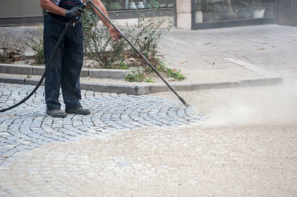 Best Winterizing Services  in Antigo, WI
